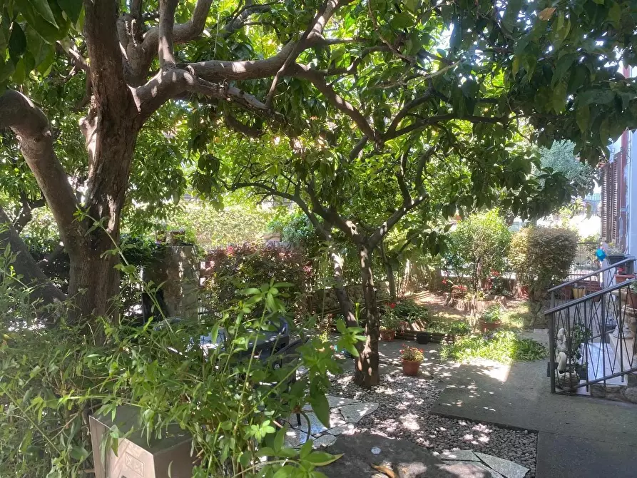 Immagine 11 di Appartamento in vendita  a Massa