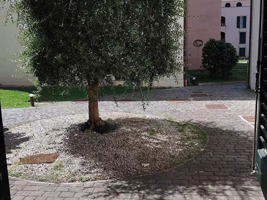 Immagine 2 di Appartamento in vendita  a Pisa