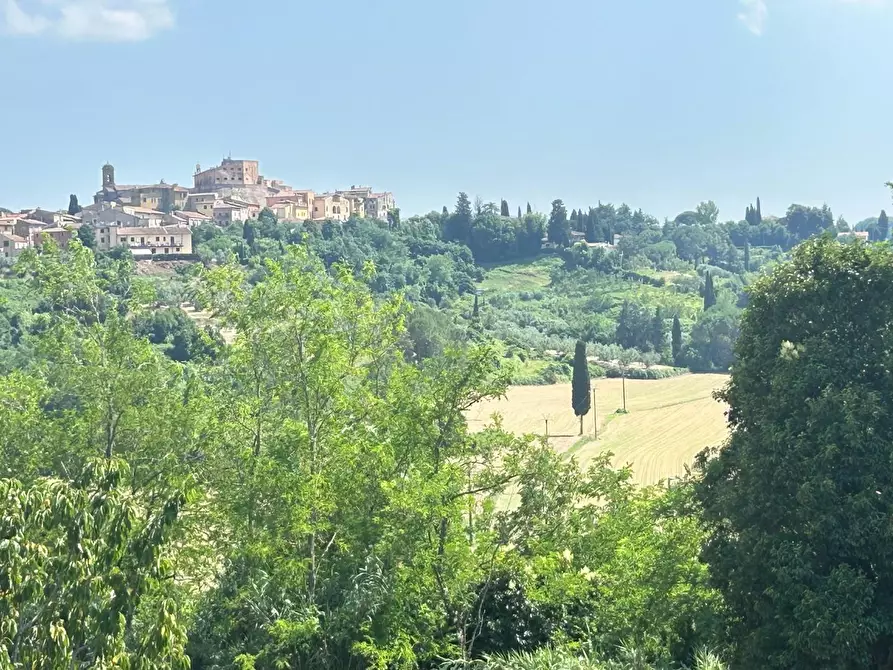 Immagine 32 di Casa indipendente in vendita  a Casciana Terme Lari