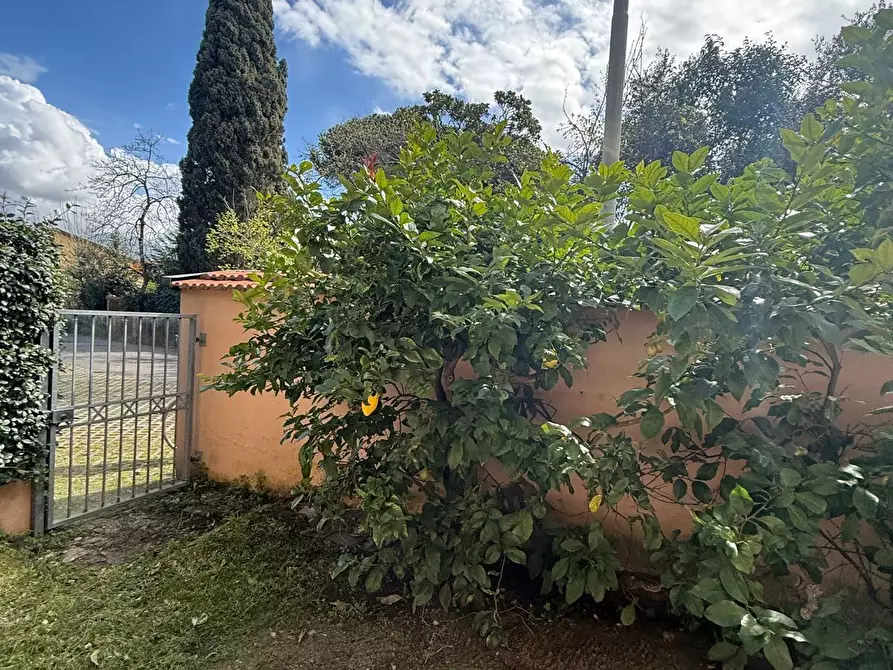 Immagine 4 di Appartamento in vendita  a Carrara