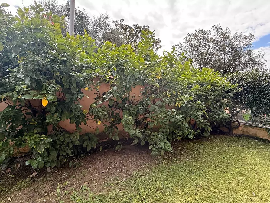 Immagine 3 di Appartamento in vendita  a Carrara