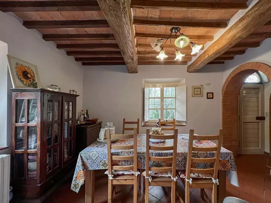 Immagine 3 di Terratetto in vendita  a Lamporecchio