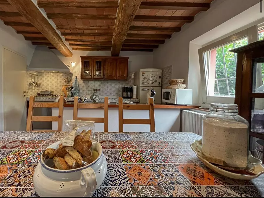 Immagine 5 di Terratetto in vendita  a Lamporecchio