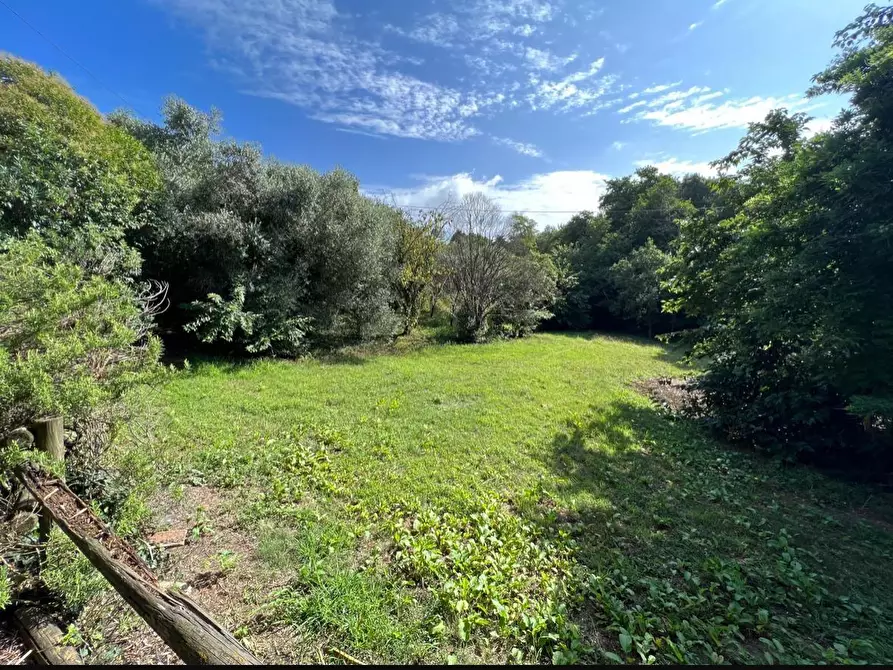 Immagine 13 di Terratetto in vendita  a Lamporecchio