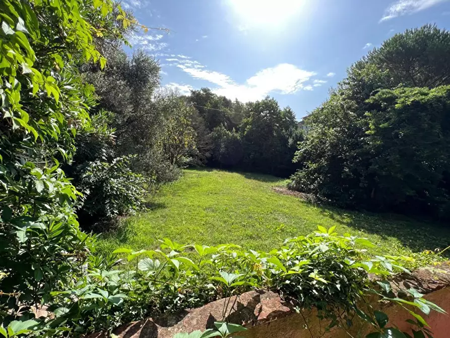 Immagine 11 di Terratetto in vendita  a Lamporecchio