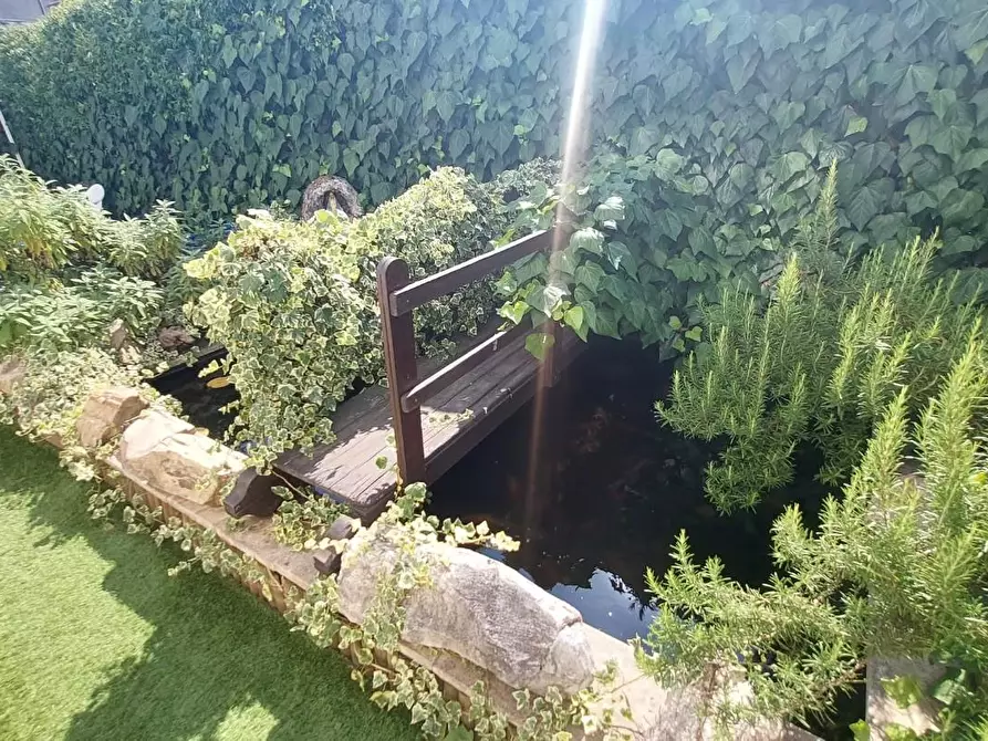 Immagine 34 di Terratetto in vendita  a Buti