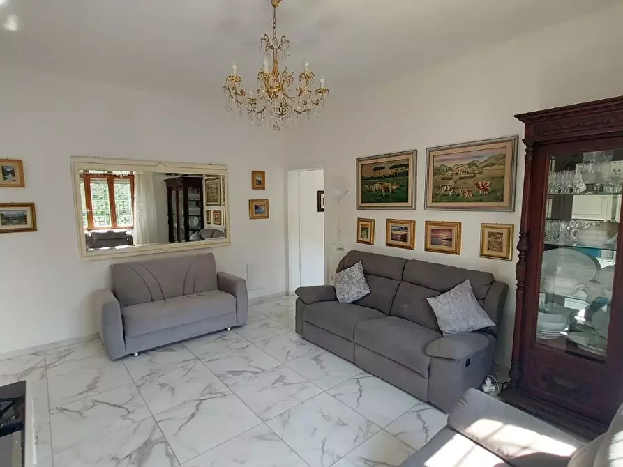 Immagine 8 di Terratetto in vendita  a Buti