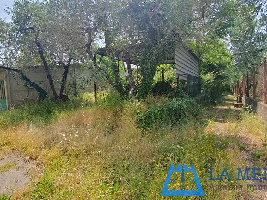 Immagine 19 di Casa colonica in vendita  a Lamporecchio