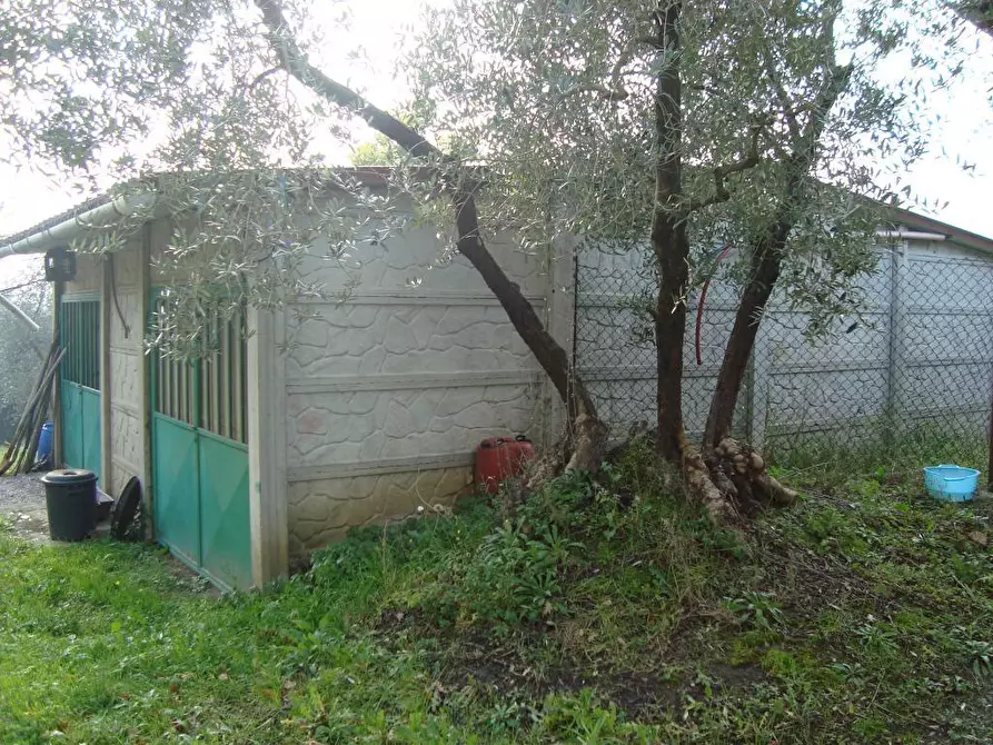 Immagine 24 di Casa colonica in vendita  a Lamporecchio