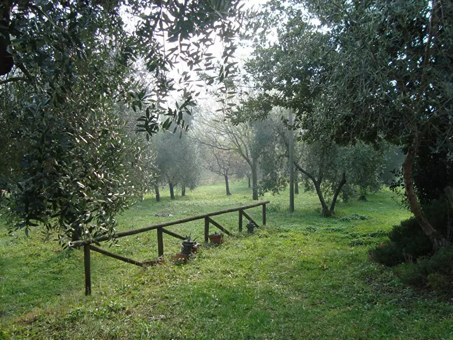 Immagine 26 di Casa colonica in vendita  a Lamporecchio