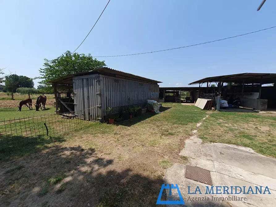 Immagine 36 di Casa indipendente in vendita  a Larciano