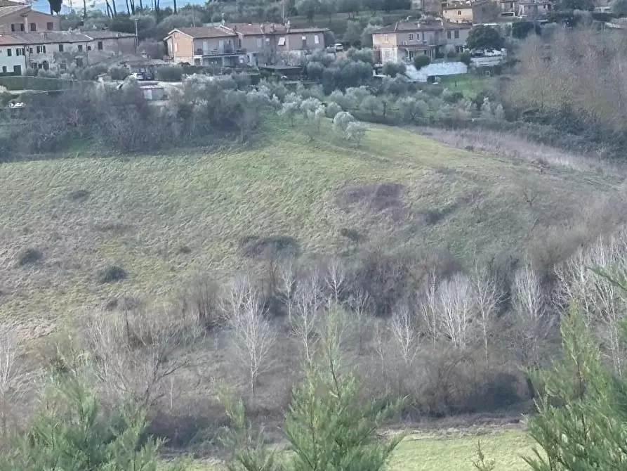 Immagine 1 di Casa bifamiliare in vendita  a Siena