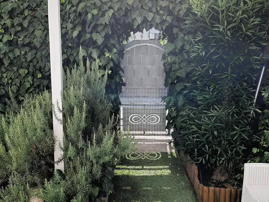 Immagine 15 di Terratetto in vendita  a Buti