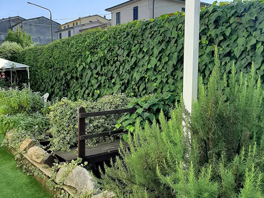 Immagine 16 di Terratetto in vendita  a Buti