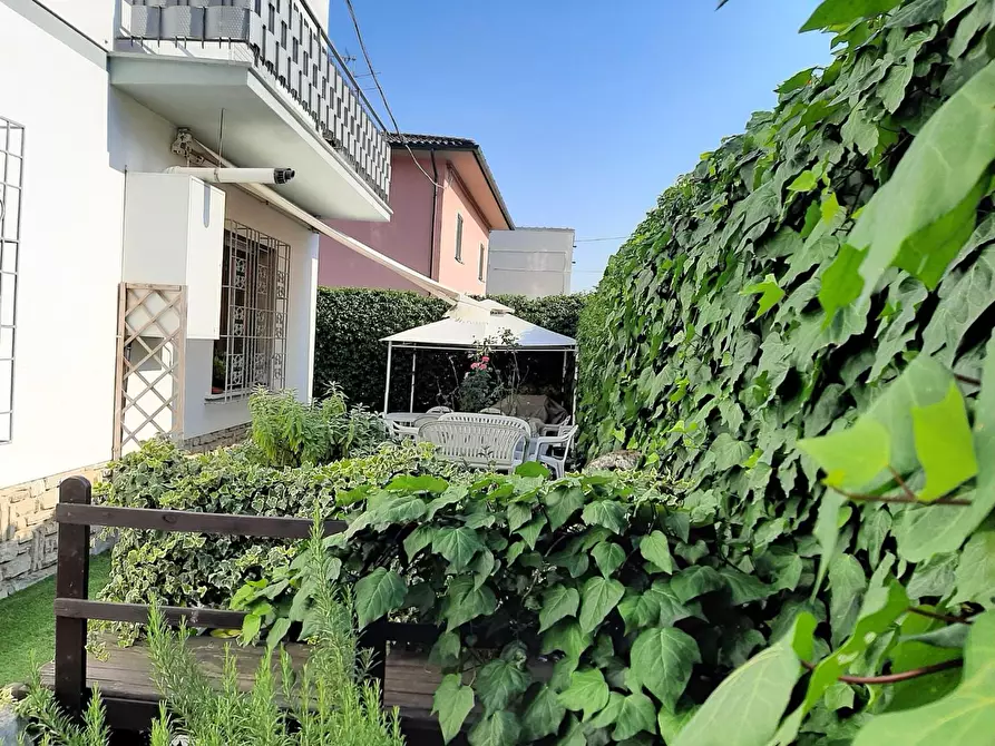 Immagine 13 di Terratetto in vendita  a Buti