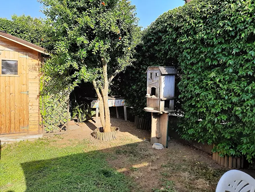 Immagine 7 di Terratetto in vendita  a Buti