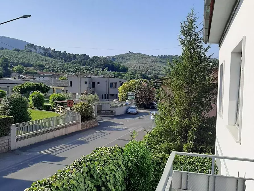 Immagine 43 di Terratetto in vendita  a Buti