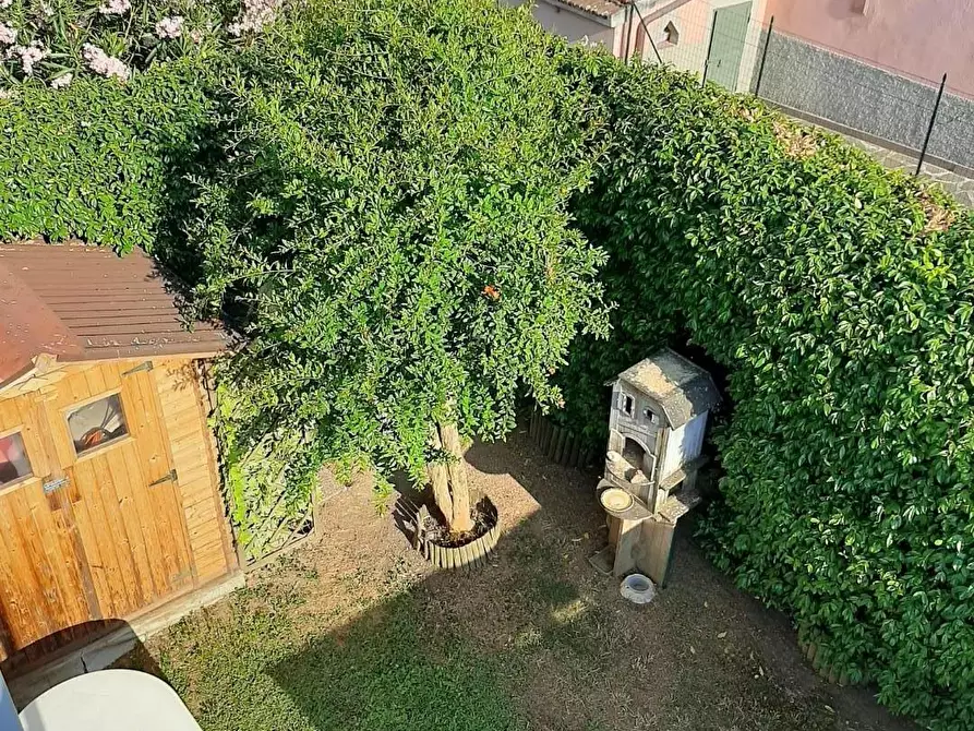 Immagine 46 di Terratetto in vendita  a Buti