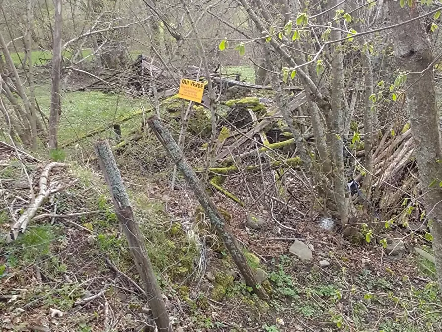 Immagine 2 di Rustico / casale in vendita  a Sillano Giuncugnano