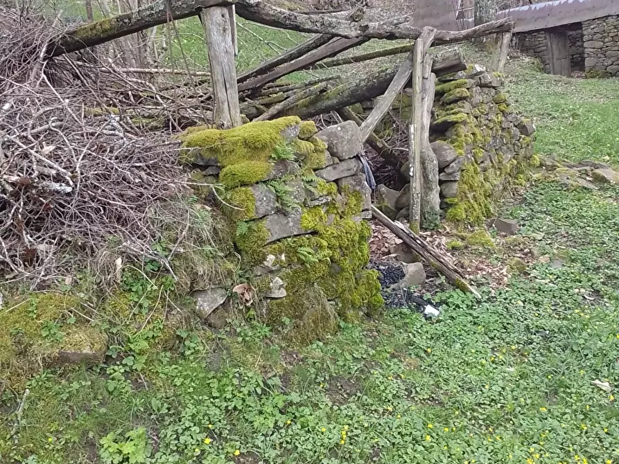 Immagine 4 di Rustico / casale in vendita  a Sillano Giuncugnano