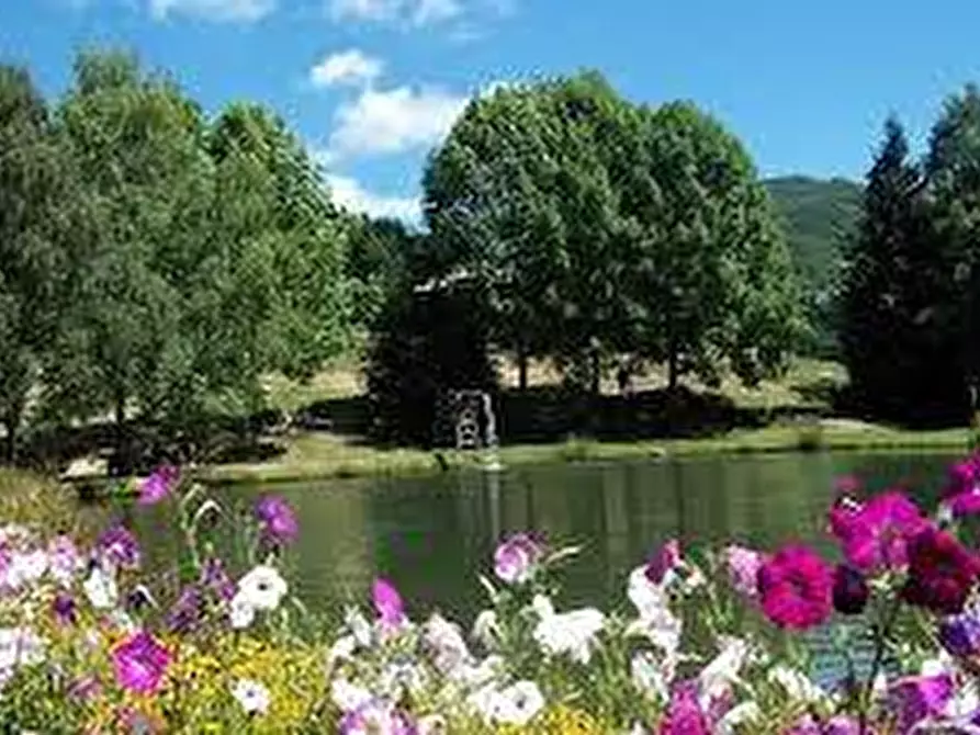 Immagine 12 di Rustico / casale in vendita  a Sillano Giuncugnano