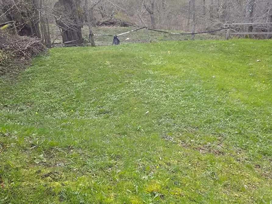 Immagine 6 di Rustico / casale in vendita  a Sillano Giuncugnano