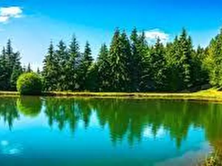 Immagine 13 di Rustico / casale in vendita  a Sillano Giuncugnano