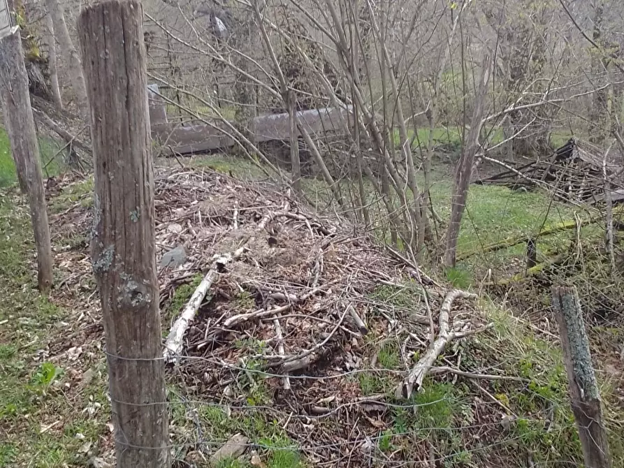 Immagine 8 di Rustico / casale in vendita  a Sillano Giuncugnano