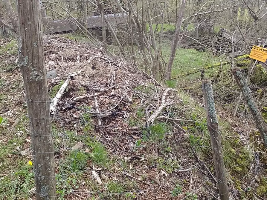 Immagine 9 di Rustico / casale in vendita  a Sillano Giuncugnano