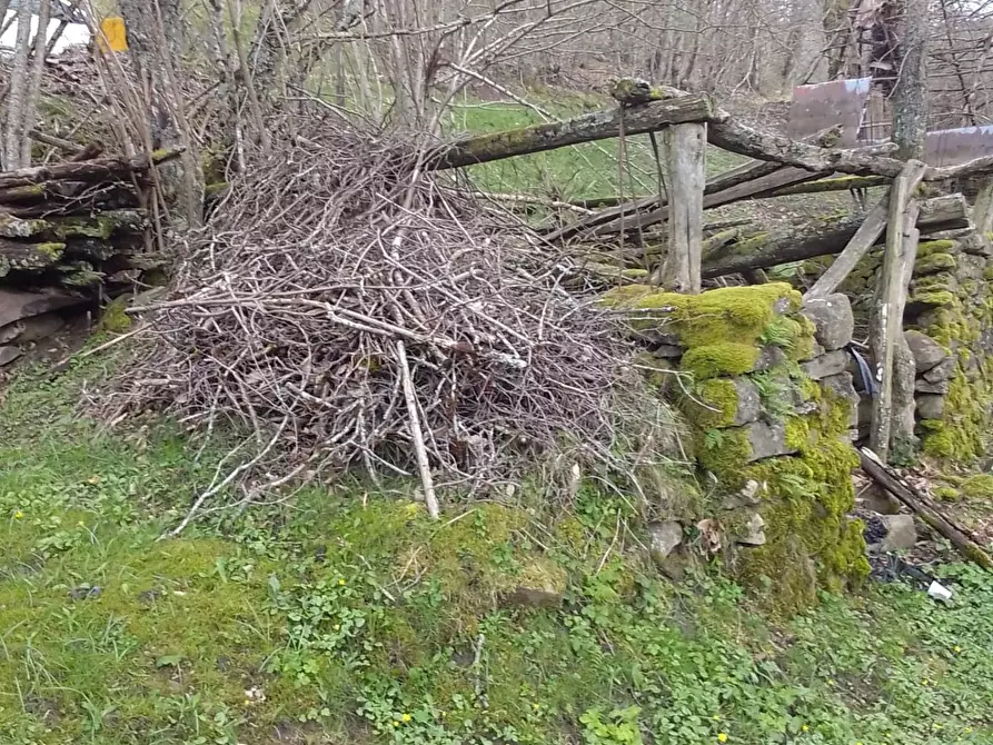 Immagine 7 di Rustico / casale in vendita  a Sillano Giuncugnano