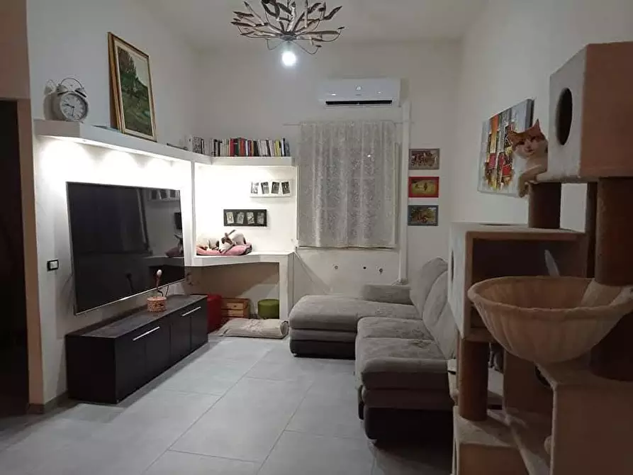 Immagine 5 di Appartamento in vendita  a Calci