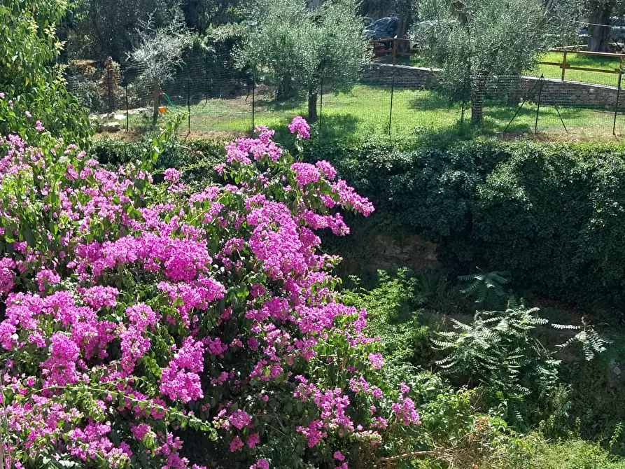 Immagine 15 di Appartamento in vendita  a Calci