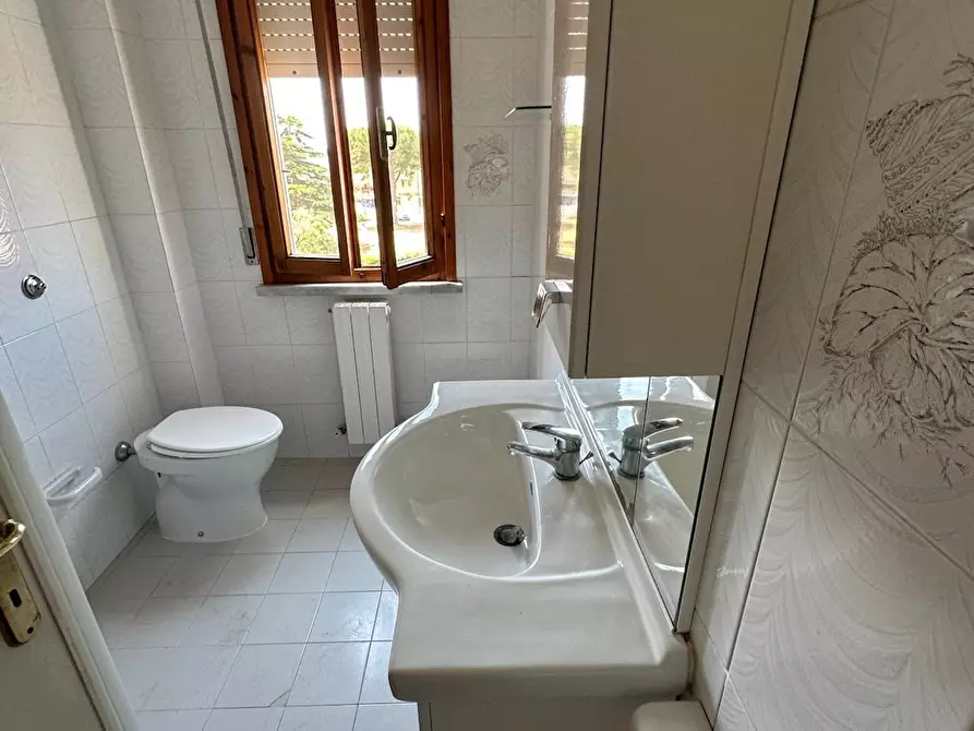 Immagine 7 di Appartamento in vendita  a Campiglia Marittima