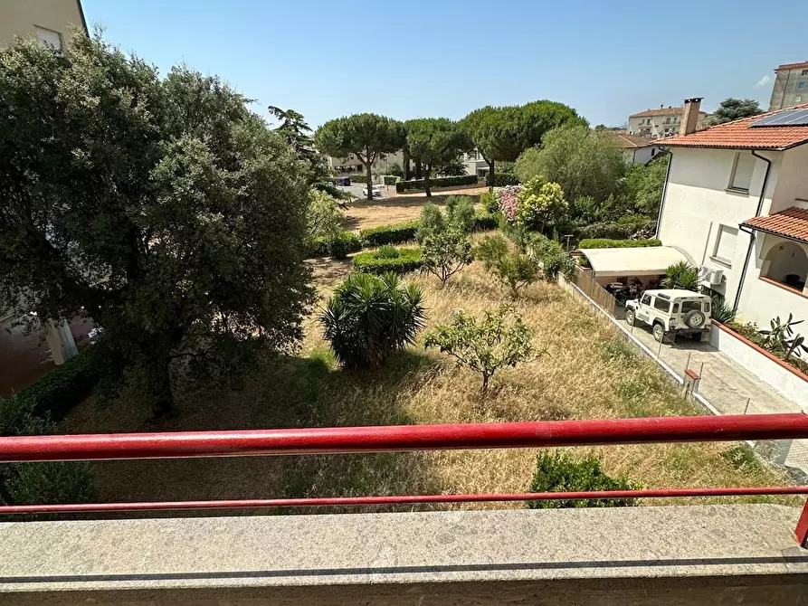 Immagine 9 di Appartamento in vendita  a Campiglia Marittima