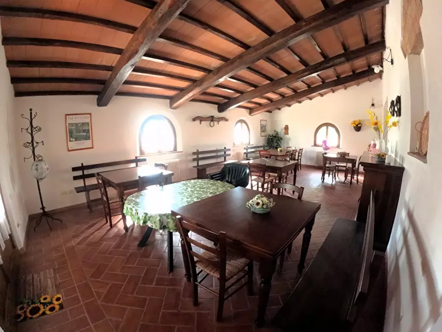 Immagine 21 di Azienda agricola in vendita  a Pomarance