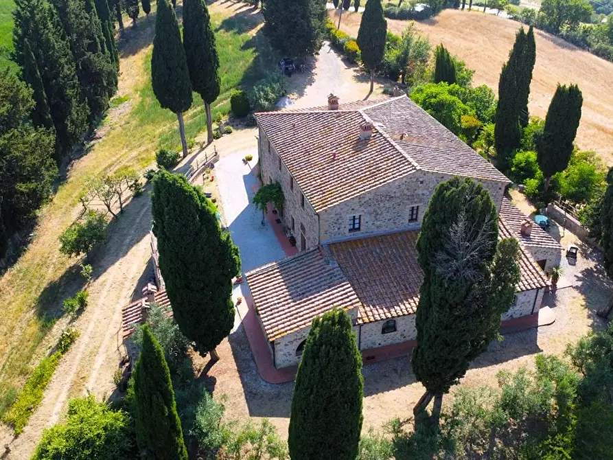 azienda agricola in vendita a Pomarance