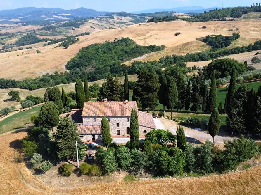 Immagine 5 di Azienda agricola in vendita  a Pomarance