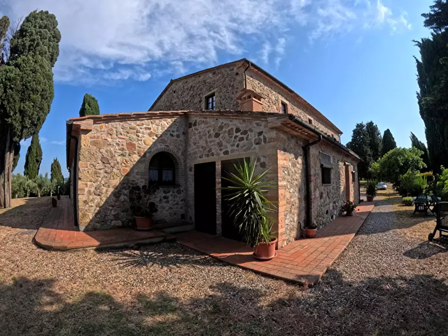 Immagine 15 di Azienda agricola in vendita  a Pomarance