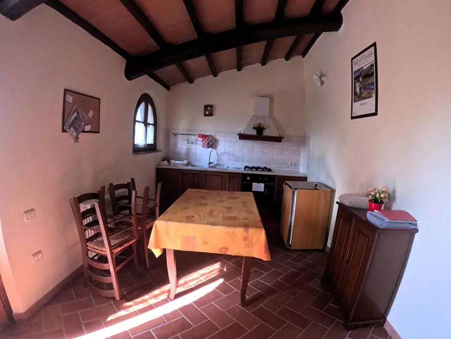 Immagine 33 di Azienda agricola in vendita  a Pomarance