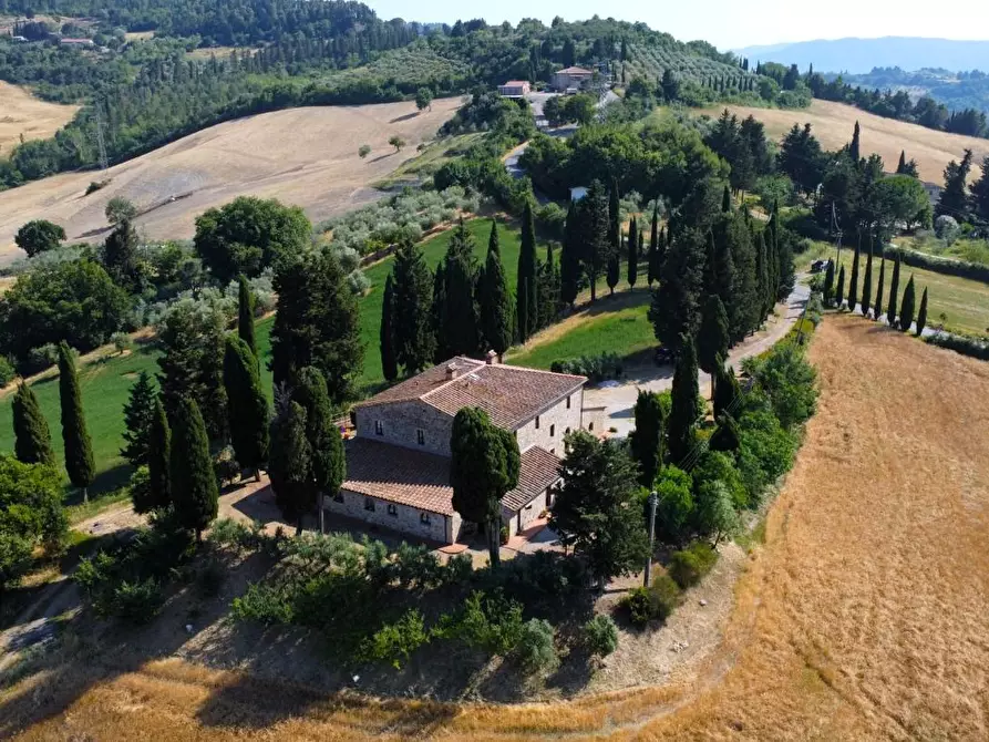Immagine 7 di Azienda agricola in vendita  a Pomarance