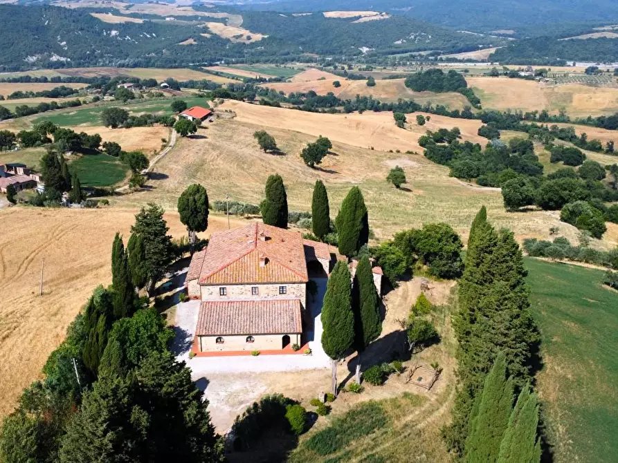 Immagine 2 di Azienda agricola in vendita  a Pomarance