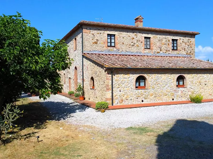 Immagine 12 di Azienda agricola in vendita  a Pomarance