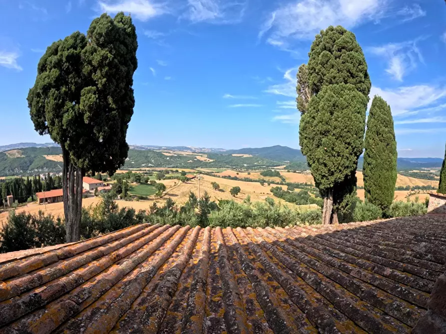 Immagine 37 di Azienda agricola in vendita  a Pomarance