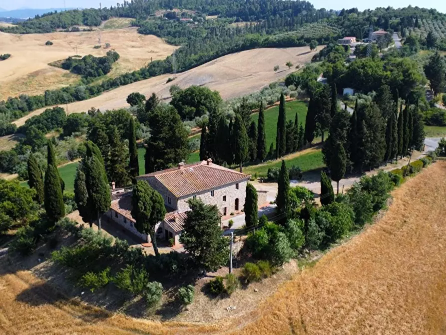 Immagine 6 di Azienda agricola in vendita  a Pomarance