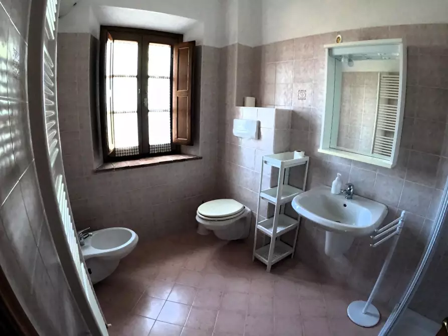 Immagine 30 di Azienda agricola in vendita  a Pomarance