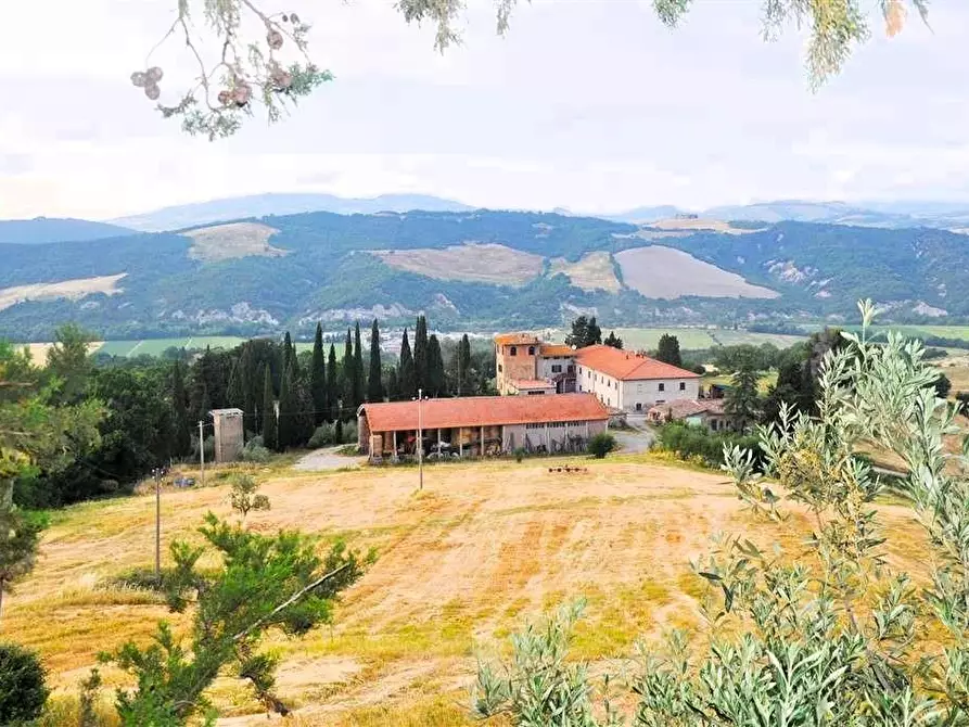Immagine 3 di Azienda agricola in vendita  a Pomarance