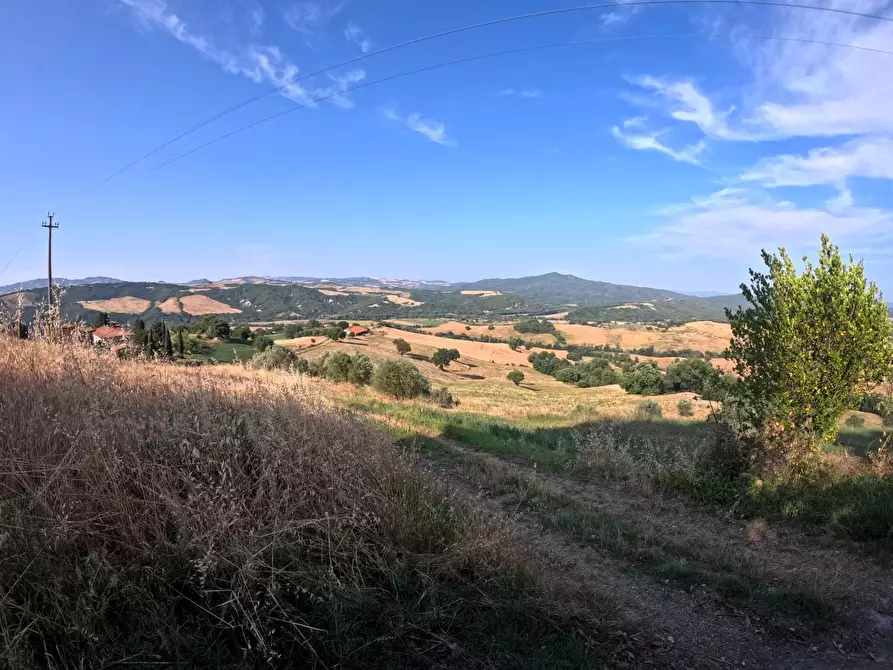 Immagine 2 di Azienda agricola in vendita  a Pomarance