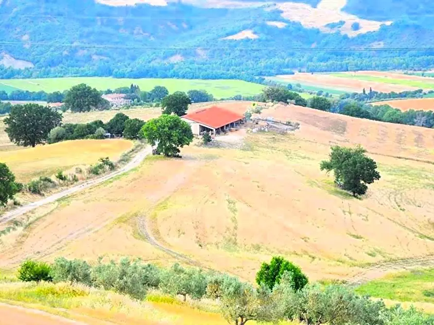 Immagine 6 di Azienda agricola in vendita  a Pomarance