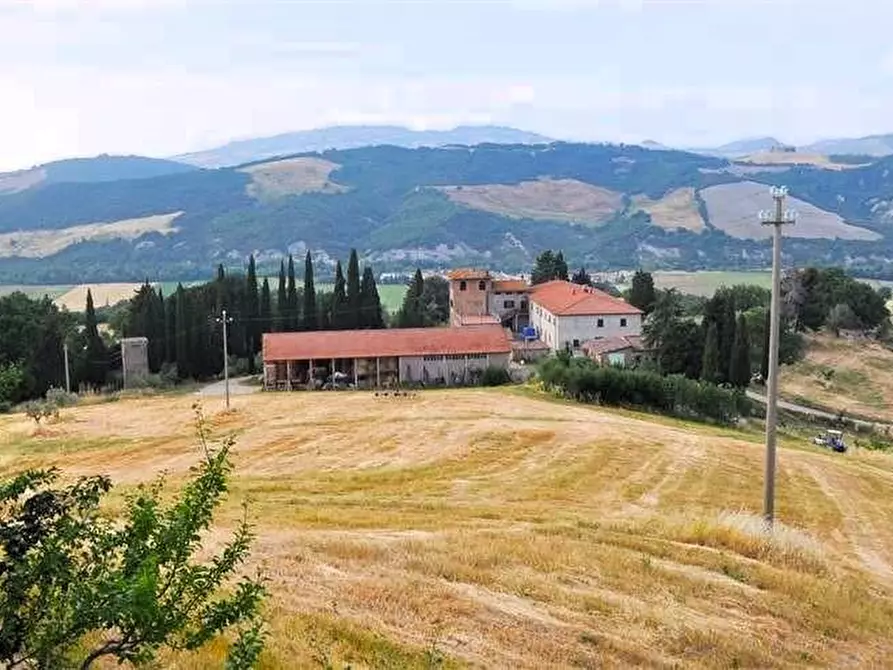Immagine 5 di Azienda agricola in vendita  a Pomarance