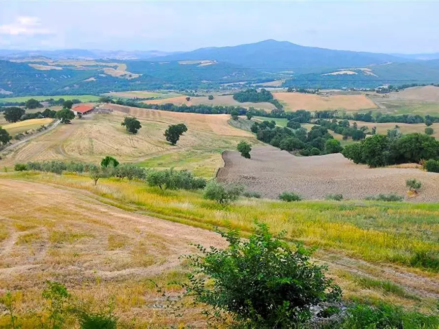 Immagine 8 di Azienda agricola in vendita  a Pomarance